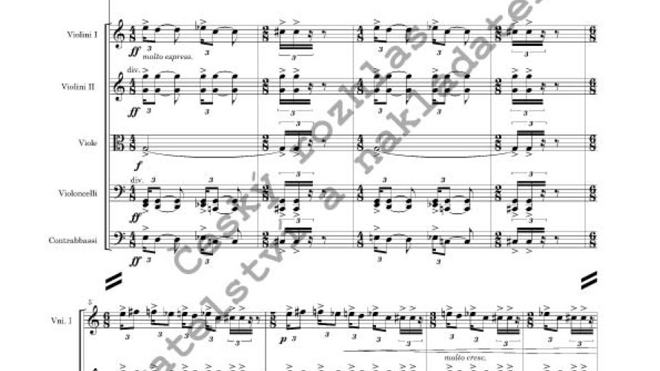 Jiří Teml - Concerto rustico per salterio ed archi