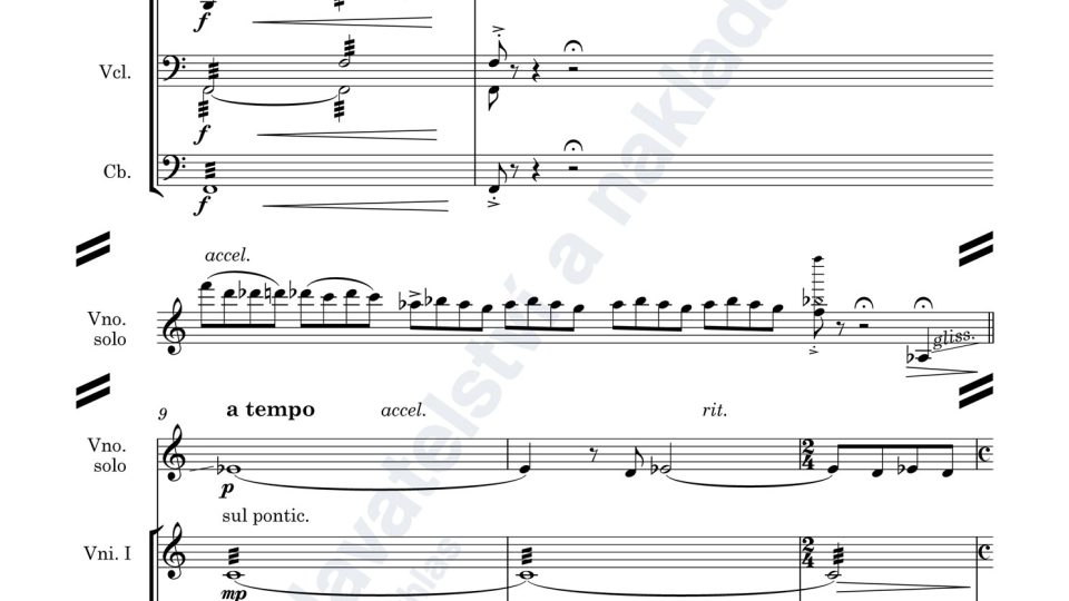 Variace na cikánskou melodii pro housle a smyčcový orchestr - Adam Skoumal