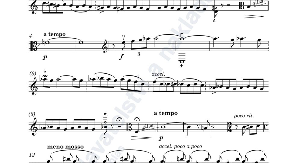 Variace na cikánskou melodii pro housle (nebo violu) a klavír