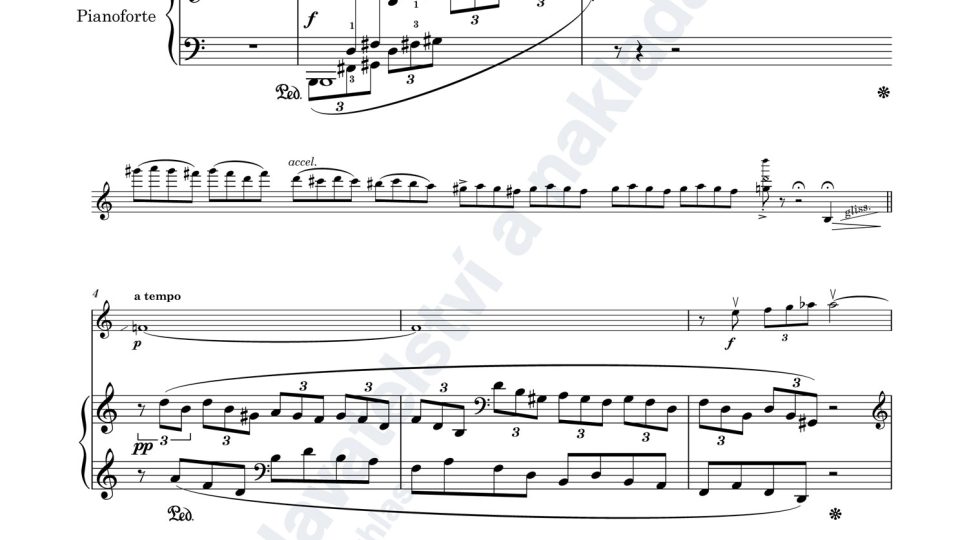 Variace na cikánskou melodii pro housle (nebo violu) a klavír