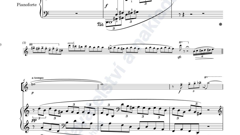 Variace na cikánskou melodii pro flétnu (nebo klarinet) a klavír - Adam Skoumal