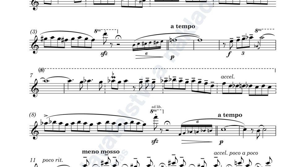 Variace na cikánskou melodii pro flétnu (nebo klarinet) a klavír - Adam Skoumal