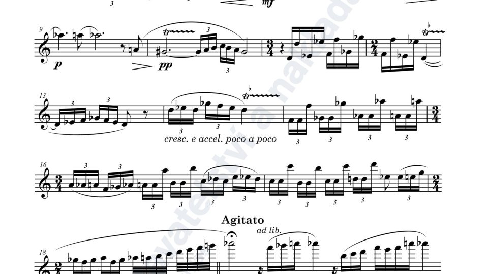 Únos Šeherezády pro flétnu a klavír - Adam Skoumal