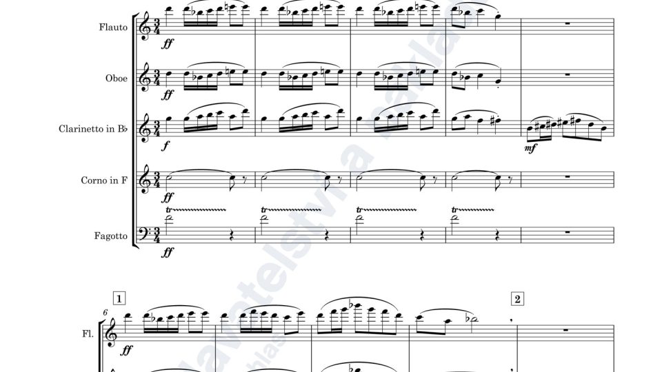 Divertimento pro dechové kvinteto, op. 10 - Viktor Kalabis